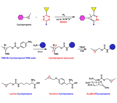 环丙烯 (Cyclopropene)